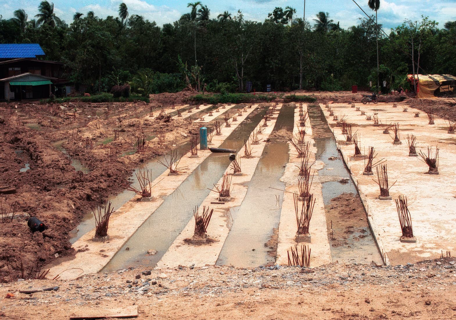 MIRAFI PET1000-100 geotextile spanning pile caps to transfer embankment and traffic loads.