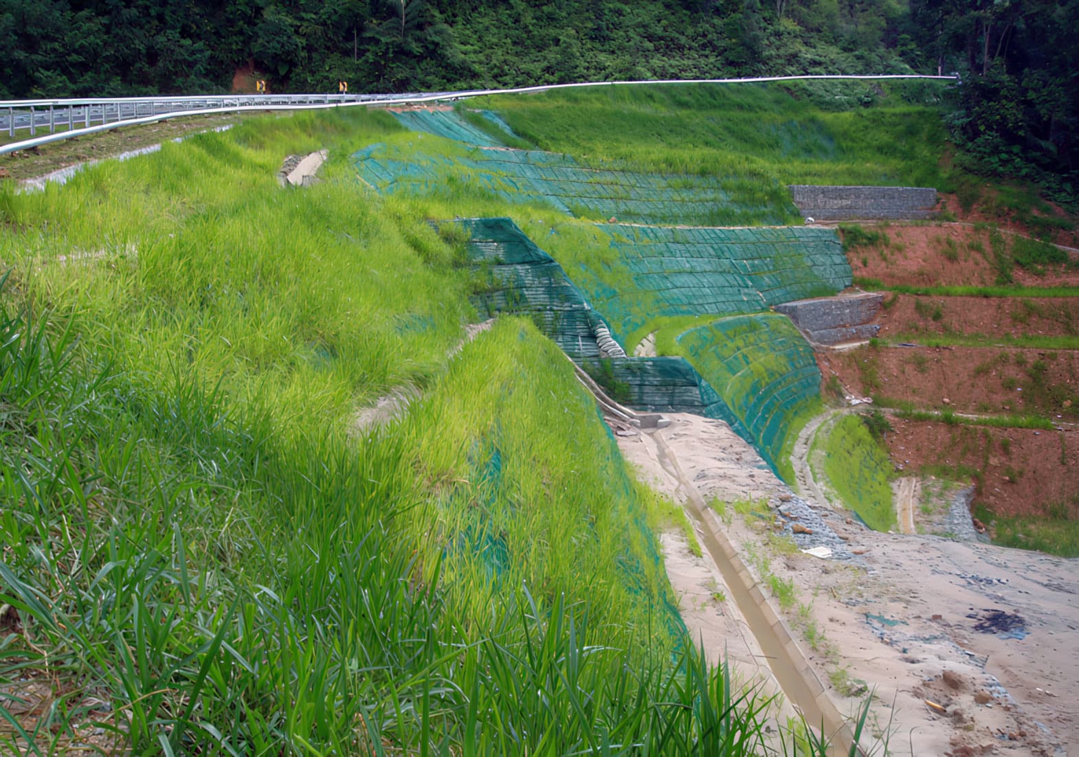 Completed reinforced slope with vegetation establishing