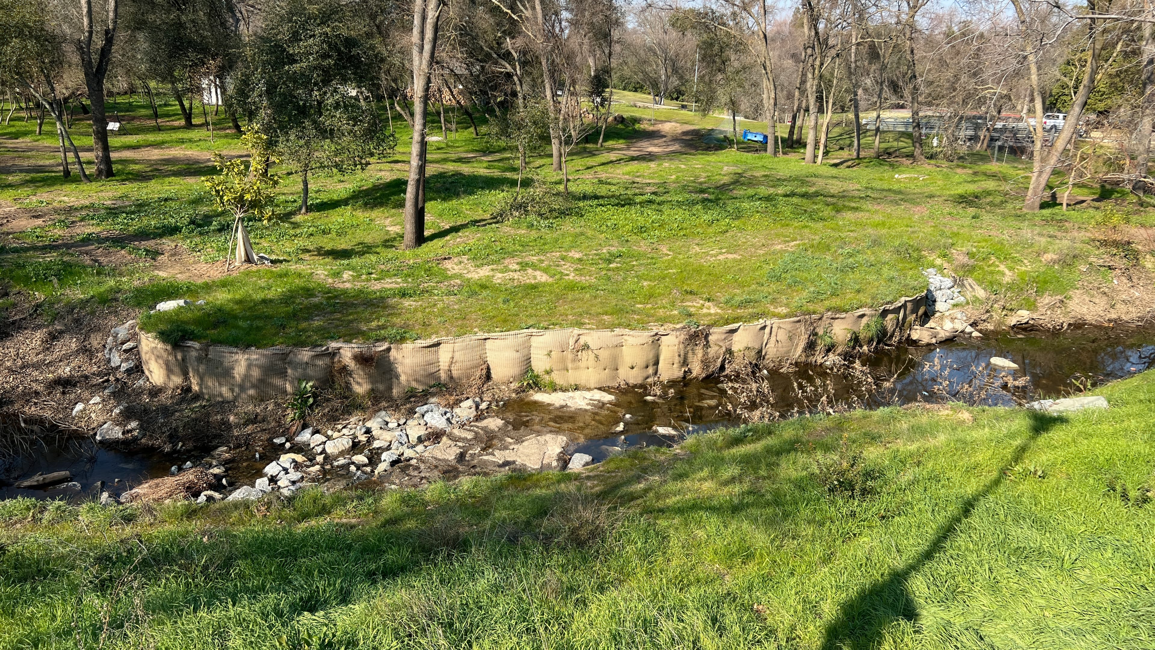 Vegetation beginning to establish through PROPEX solutions, creating a natural finish while maintaining engineered protection.