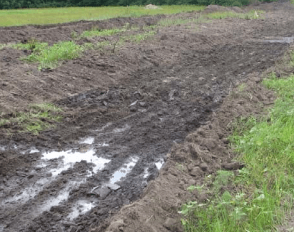 A section of unpaved road