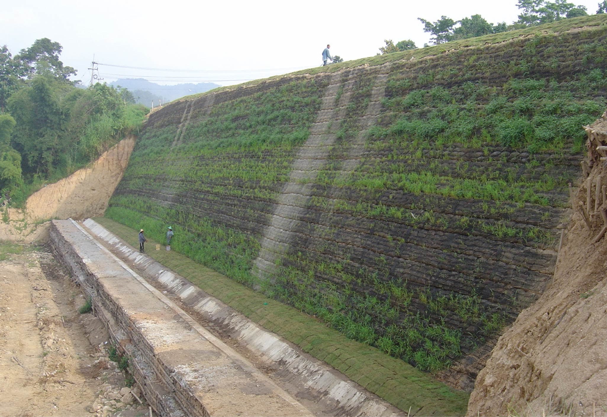 Lampoon Road Roadways Thailand MIRAGRID GX MIRAFI+Polyfelt