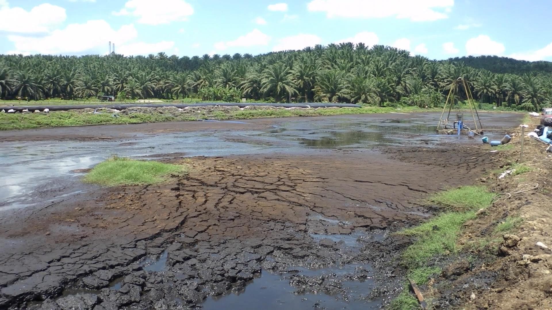 Heavily silted POME sludge pond