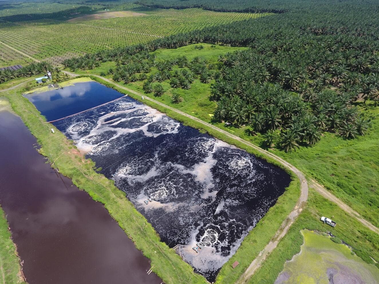 GEOTUBE units are used to dewater the POME sludge. The units retain the solid particles within the tube, while the liquid can be recycled back through the plant or discharged through the polishing ponds.