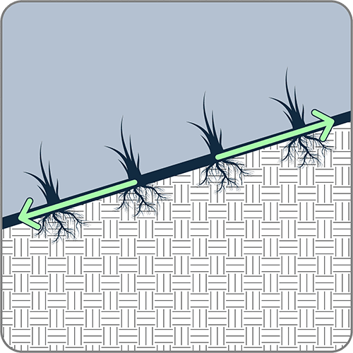 Function icon - Vegetation reinforcement