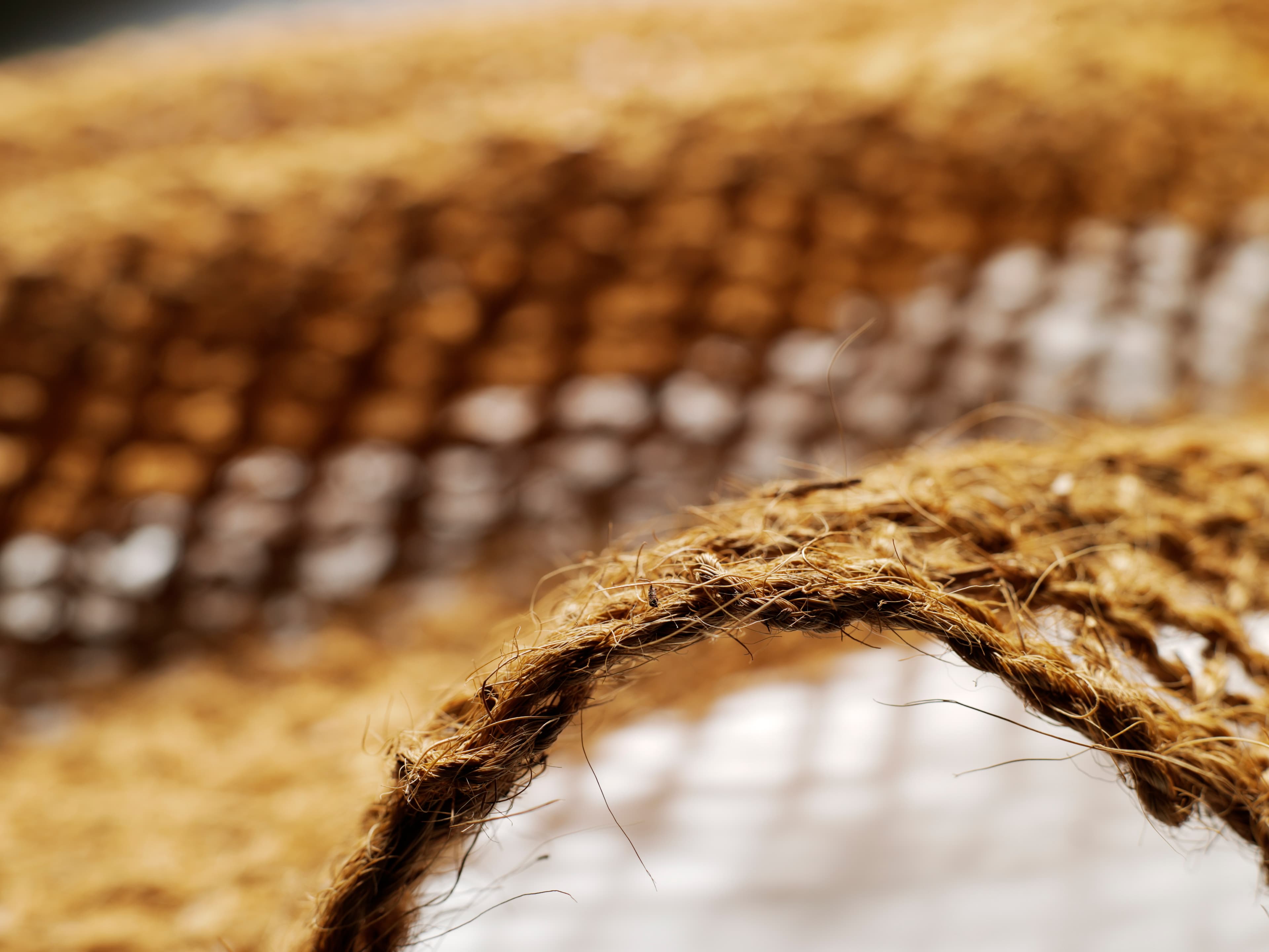 image-banner