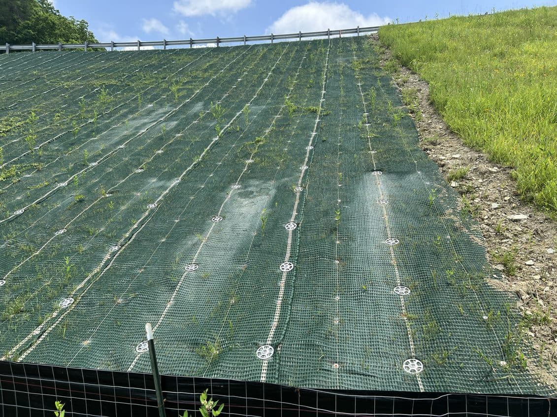 Steep slope stabilization at SR-11 KYTC DISTRICT 10