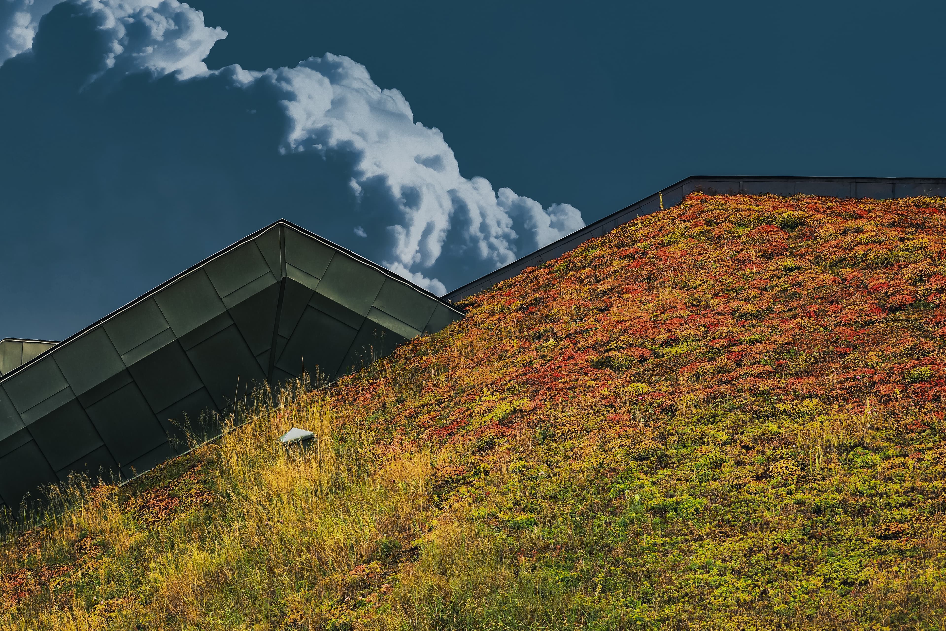 image-banner