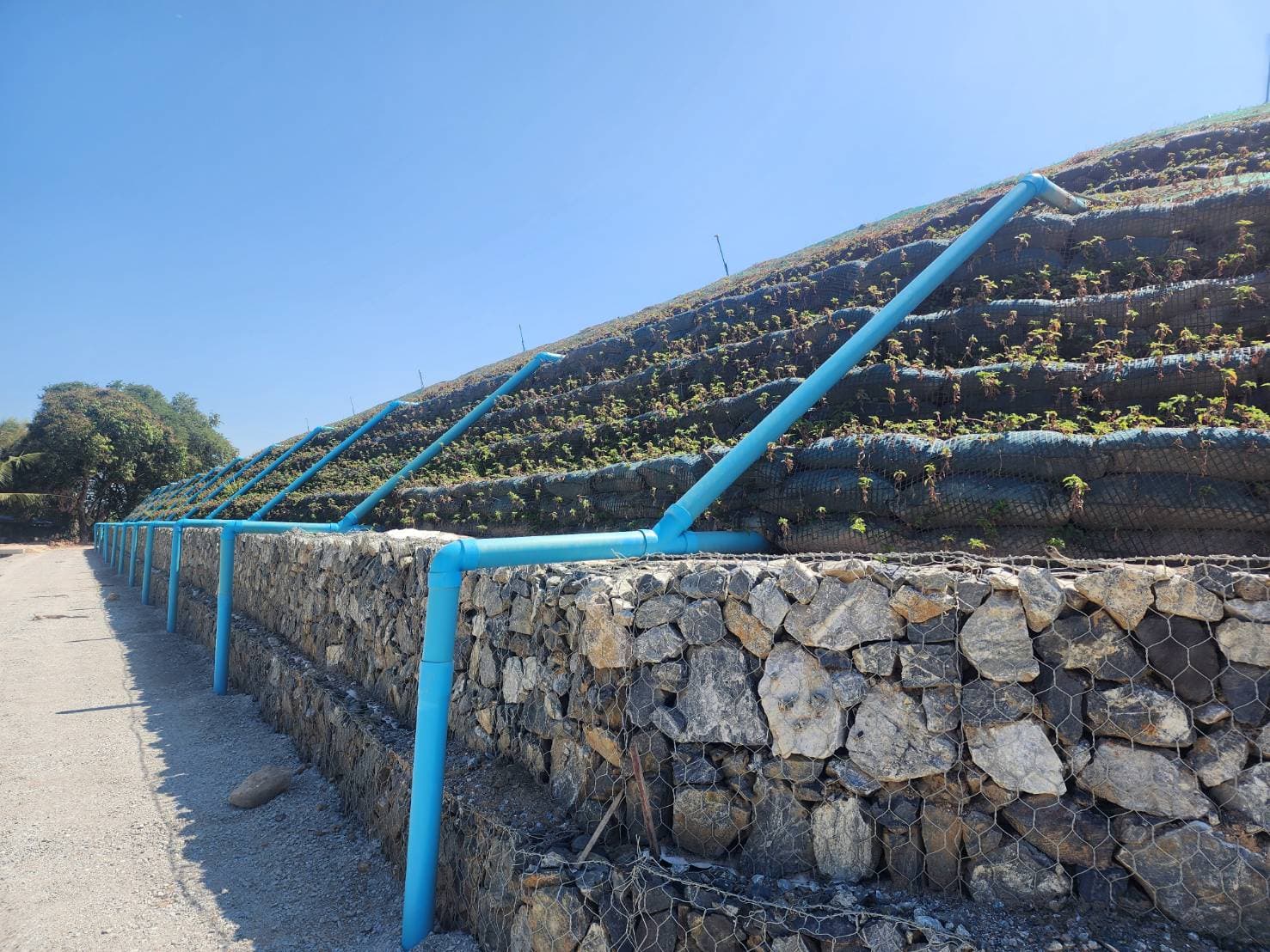 A steep, engineered slope with a gabion retaining structure constructed with rock-filled wire baskets at the base of the slope