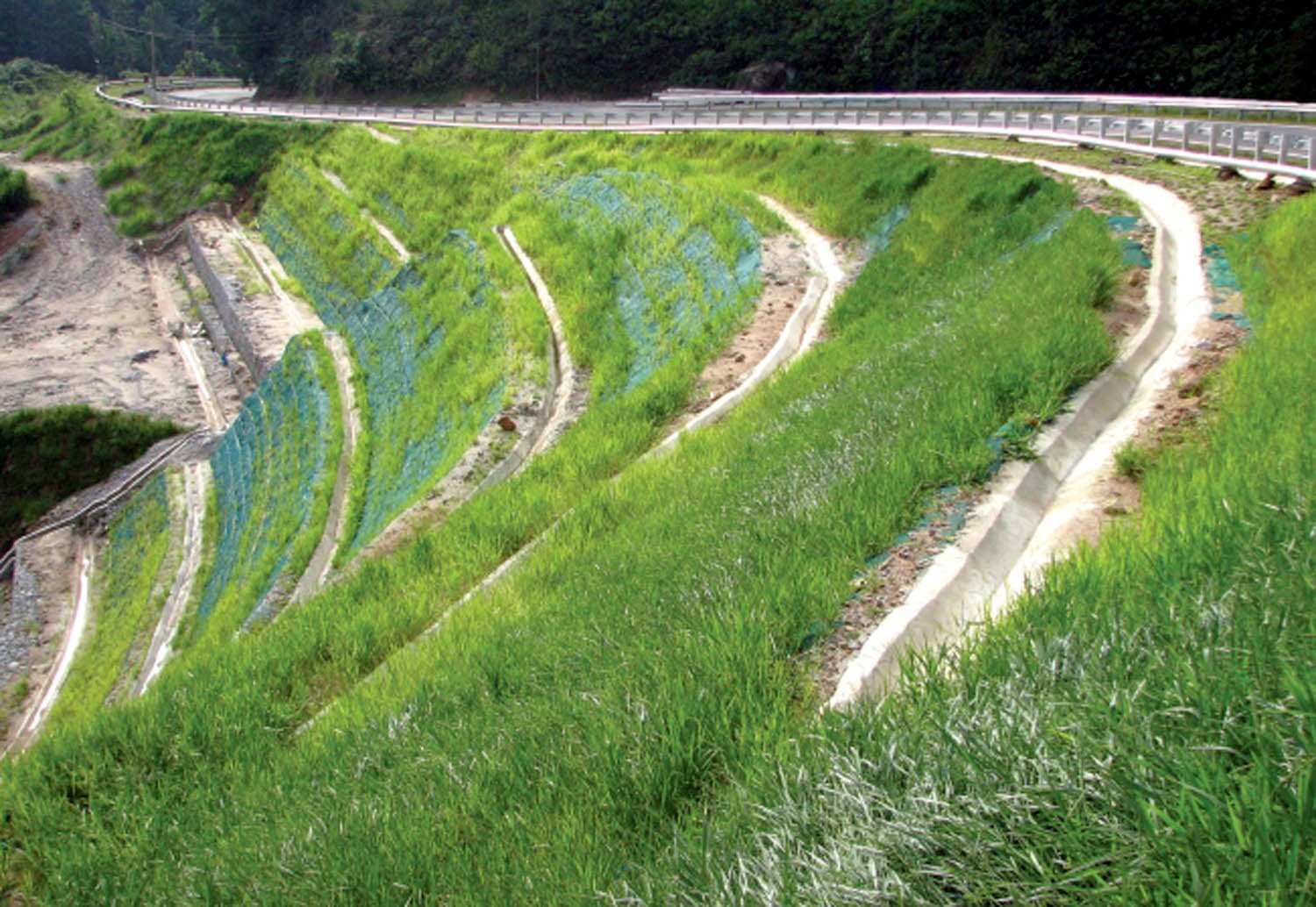 The reinforced soil structure consisted of a 30m-high (98 ft) slope reinforced from the toe of the failed embankment. The facing system used involved wrapping a net around bags filled with fine-grained soil.