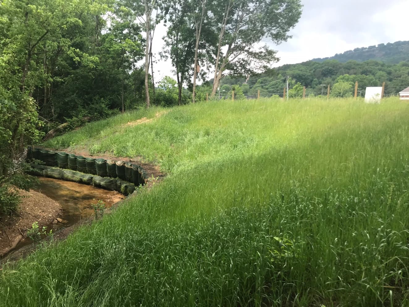 CASE STUDY | Stream bank stabilization at Mountain Creek | Solmax