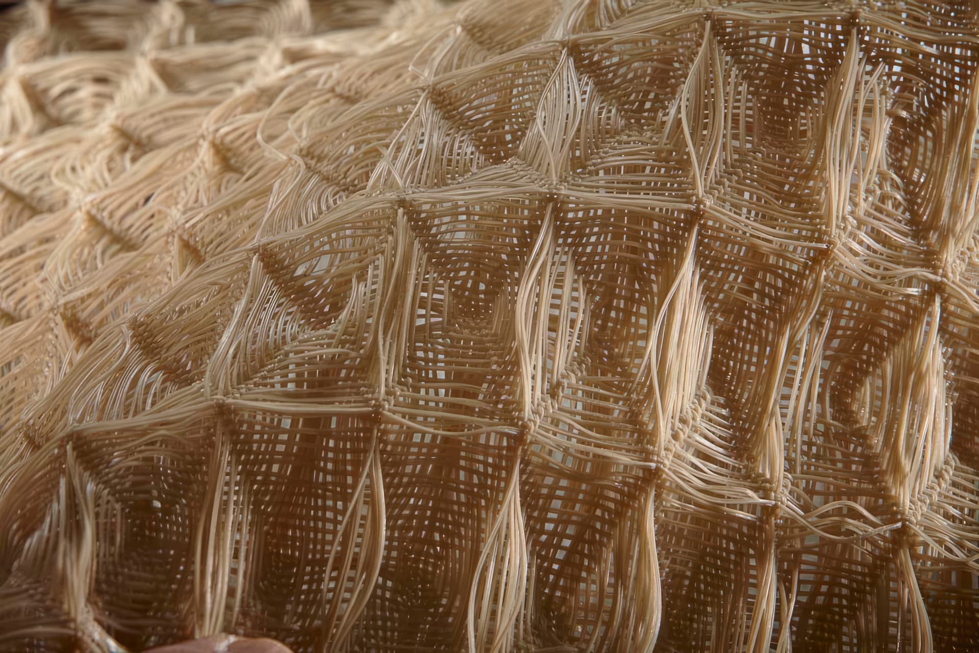 Solmax | PROPEX Pyramat 75